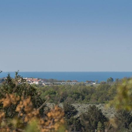 Apartment Bruneta 1 With Sea View Tar-Vabriga Exterior photo